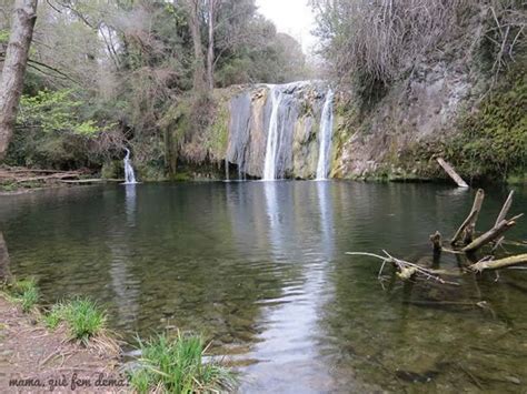 gorg de la plana|El Gorg de la Plana en la Garrotxa